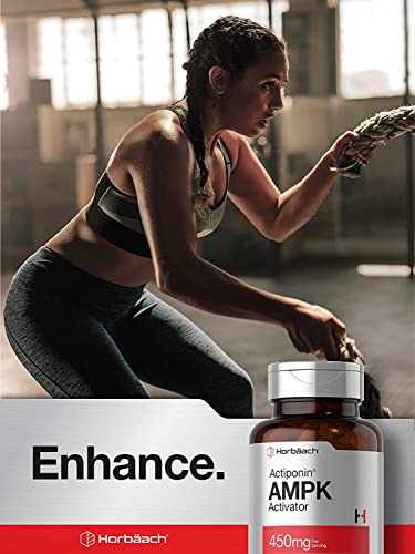 AMPK Metabolic Activator 450 mg | 60 Capsules | Non-GMO, Gluten Free | Jiaogulan Gynostemma Horbäach uk supplements