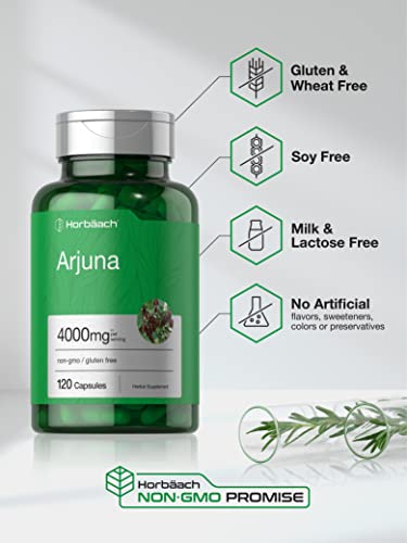 Arjuna Capsules 4000mg | 120 Count | Non-GMO, Gluten Free | from Arjuna Bark Herb Horbäach uk supplements