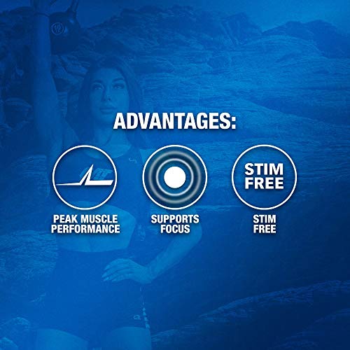 GAT PMP (Peak Muscle Performance), Next Generation Pre Workout Powder for Intense GAT SPORT uk supplements