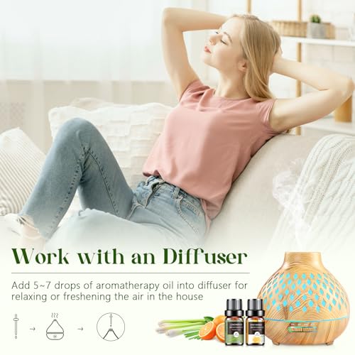 Essential Oils Set - 12 Pcs Aromatherapy Essential Oil Kit for Diffuser, Humidifier, Aromatherapy, Massage Aeshory uk supplements