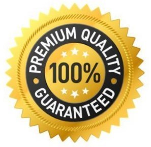 Pride Nutrition Dominate X Pre Workout Supplement - 500g Nitric Oxide & Creatine Pre Pride Nutrition uk supplements
