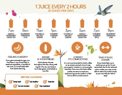 LEMONKIND 3-Day PROTEIN Juice Cleanse – High Protein Detox to Boost LEMONKIND uk supplements