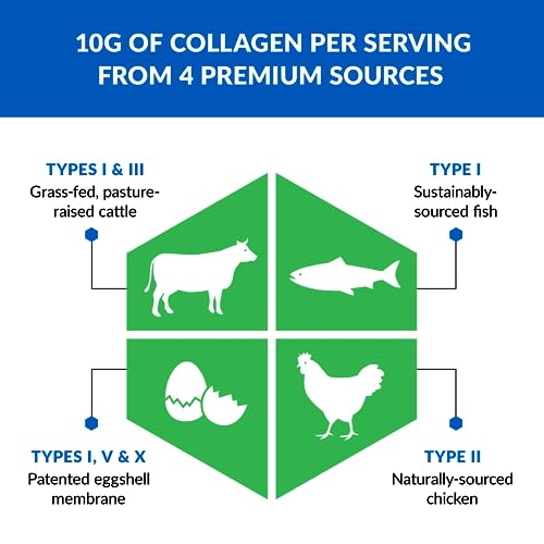 BioTrust Ageless Multi Collagen Protein Powder– 5 Collagen Types (I, II, III, V, X) BioTrust uk supplements
