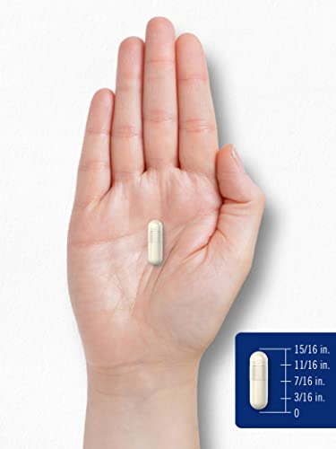 Carlyle Chitosan Supplement 1200mg | 120 Quick Release Capsules | Non-GMO Carlyle uk supplements