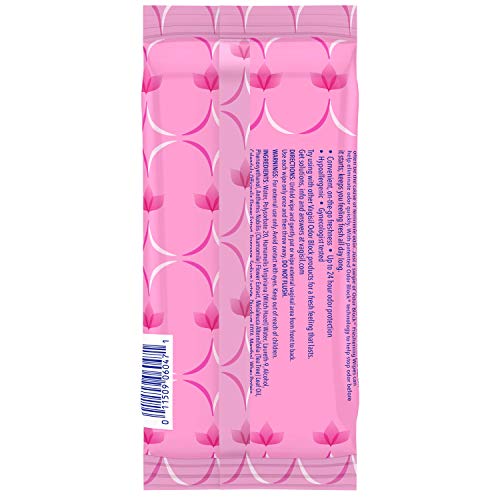 Vagisil Odor Block Daily Freshening Wipes for Feminine Hygiene in Resealable Pouch Vagisil uk supplements