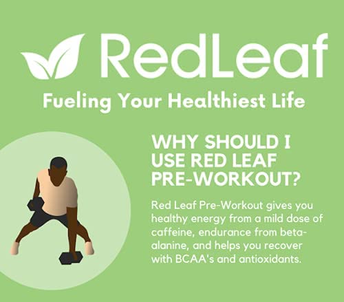 Red Leaf Pre Workout Energizer Powder, BCAA's, Beta-Alanine, Amino Acids and Green Tea Red Leaf uk supplements