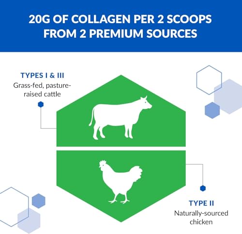 BioTrust Tri Collagen Powder - 3-in-1 Hydrolyzed Collagen Peptides Powder BioTrust uk supplements