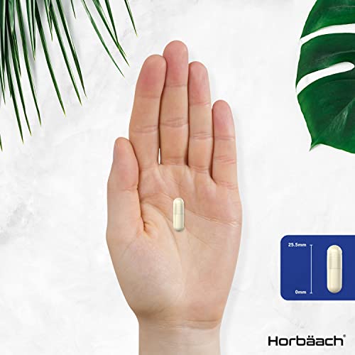 Marine Collagen Capsules | with Hyaluronic Acid, Vitamin C & E | 2000mg | High Strength Type 1 Collagen Horbäach uk supplements