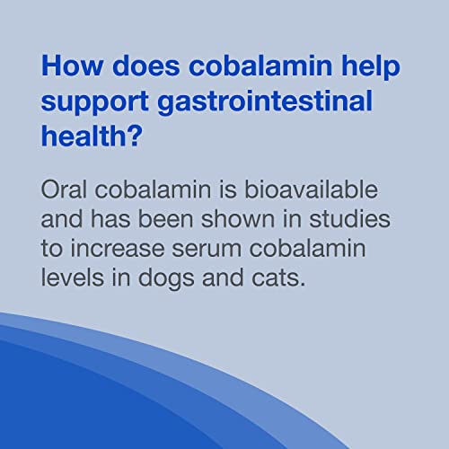 Nutramax Cobalequin B12 Supplement for Cats and Small Dogs, 45 Count (Pack of 1) Nutramax Laboratories uk supplements