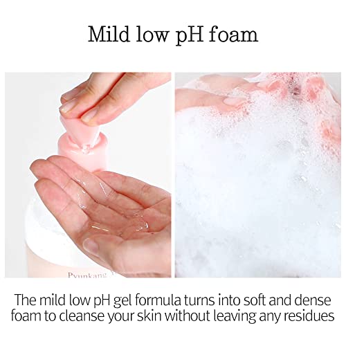 Pyunkang Yul Low pH Feminine Wash with Green Tea, Cica, Moisturizing for Women Vaginal Health Pyunkang Yul uk supplements