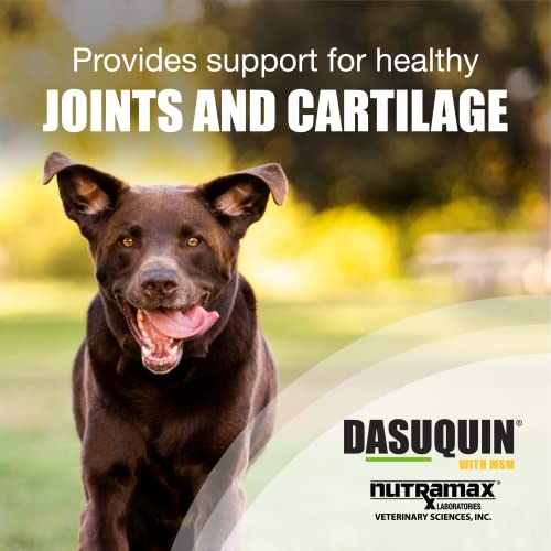 Nutramax Laboratories Dasuquin with MSM Joint Health Supplement for Large Dogs Nutramax Laboratories uk supplements