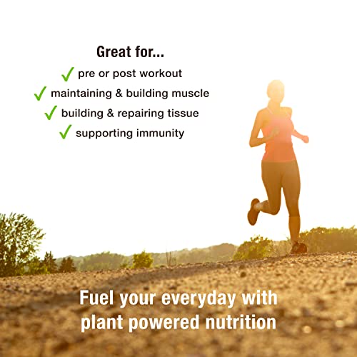 BodyMe Organic Vegan Protein Powder Blend, Naked Natural - Unsweetened, Low Carb BodyMe uk supplements