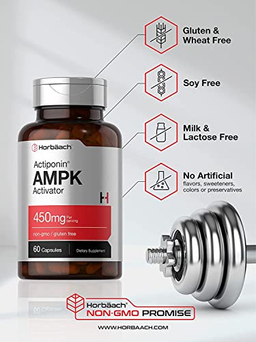 AMPK Metabolic Activator 450 mg | 60 Capsules | Non-GMO, Gluten Free | Jiaogulan Gynostemma Horbäach uk supplements