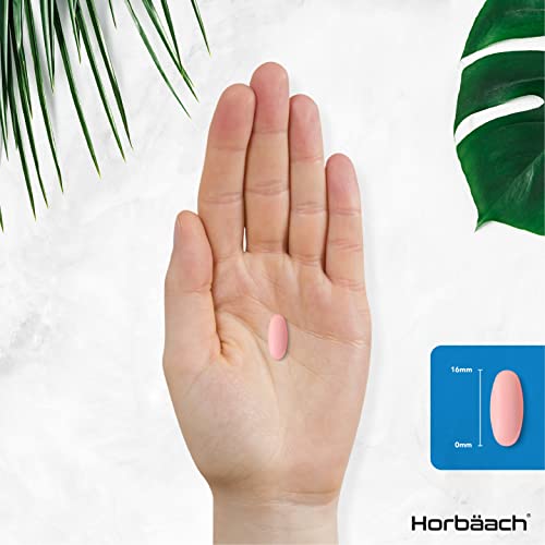 Vitamin B6 and B12 Tablets High Strength | 60 Count | with 100mg of Vitamin B6 Horbäach uk supplements