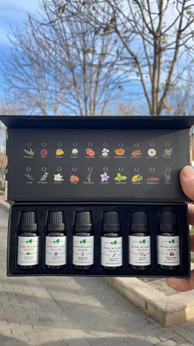 Essential Oils Set 100% Pure Natural DR.NITTA Top 6 Oils for Massage,Diffusers,Humidifier DR.NITTA uk supplements
