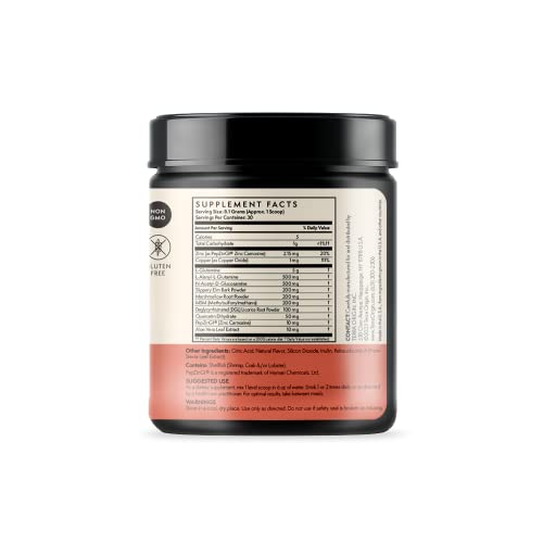 TERRA ORIGIN Healthy Gut Watermelon | 30-Servings with L-Glutamine, Zinc TERRA ORIGIN uk supplements