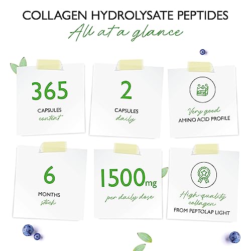 Collagen - 365 Capsules - 1500 mg per Daily Serving - Premium: 100% Bovine Collagen Vit4ever uk supplements
