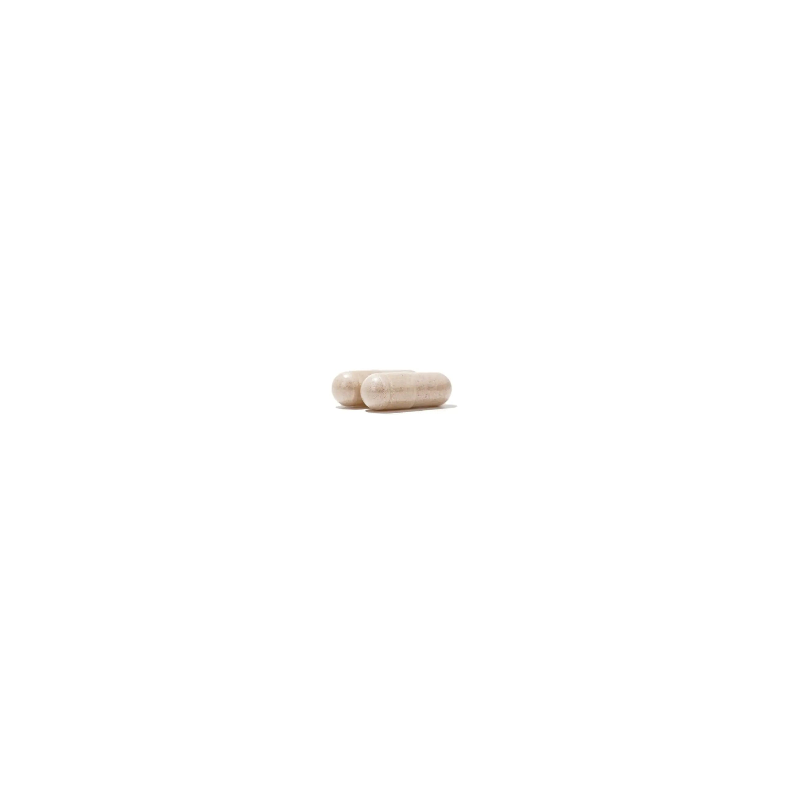 NatureWise Multivitamin for Men + Stress Support + Fulvic Ionic Minerals + Probiotics for Immunity, Male Health NatureWise uk supplements