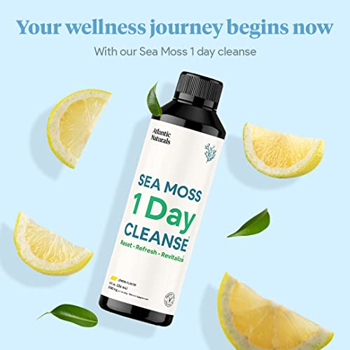 Sea Moss 1 Day Cleanse - Full Body Detox to support bowel movements, Kidney Health Atlantic Naturals uk supplements