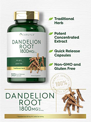 Carlyle Dandelion Root Capsules 1800mg | 300 Count | Non-GMO, Gluten Free Carlyle uk supplements