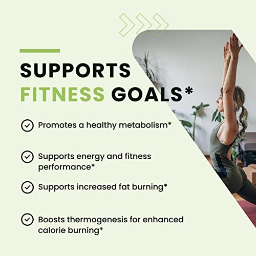 Green Tea Weight Loss Pills with Green Coffee Bean Extract | Belly Fat Burner, Metabolism Nobi Nutrition uk supplements