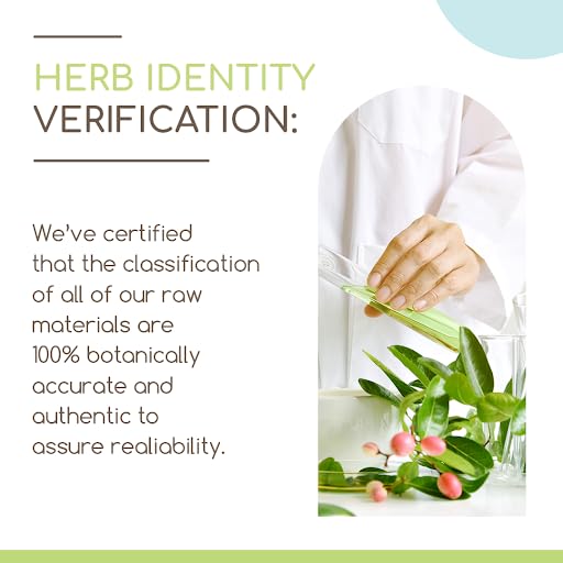 Barberry Root B120 Alcohol-Free Herbal Extract Tincture, Concentrated Liquid Drops Natural Barberry HerbEra uk supplements