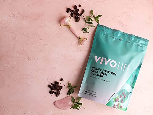 Vivo Life - Plant Protein Collagen Builder with Vitamin C, Amino Acids and Hyaluronic Acid Vivo life uk supplements