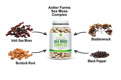 Antler Farms – 100% Pure Sea Moss Complex, 130 Capsules, Organic & Wildcrafted Irish Antler Farms uk supplements