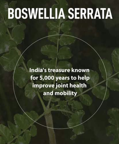 FromBIO for Joints Health and Cartilage, Boswellia, 1,000mg of Boswellia and 71mg of AKBA & KBA FromBIO uk supplements