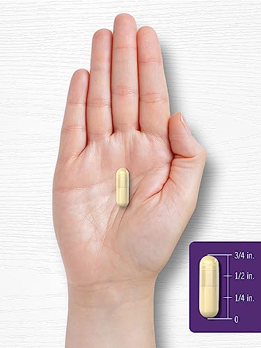 Carlyle Liver Support Supplement | 90 Capsules | Powerful Complex | Liver Care Formula Carlyle uk supplements