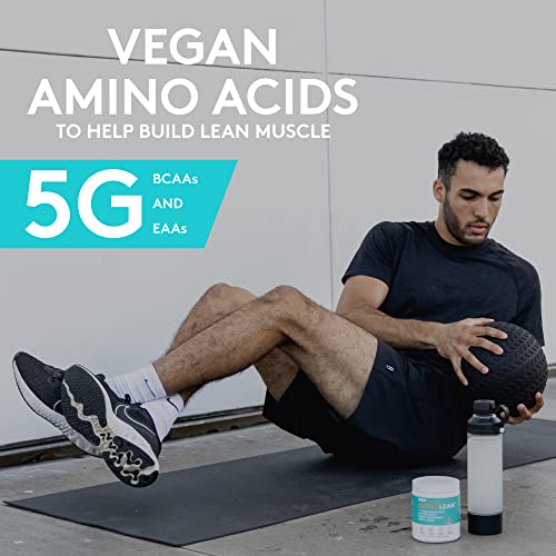 RSP Nutrition Mango Aminolean Amino Acid Supplement Powder, 8.29 OZ RSP NUTRITION uk supplements