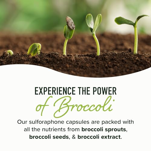20MG Sulforaphane | From Broccoli Sprouts & Seed Extract | 565MG Microbeadlet SMNutrition uk supplements