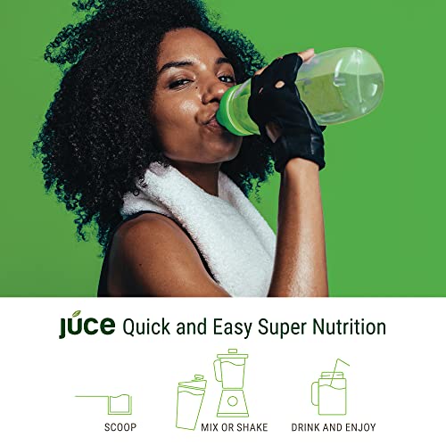 Terra Kai Organics JUCE Green Superfood Powder, Organic Fruits and Veggies Supplement Terra Kai Organics uk supplements