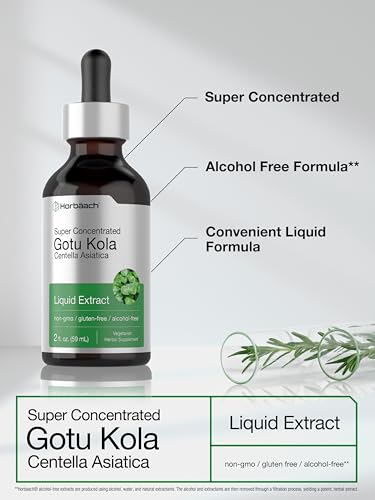 Gotu Kola Extract | 2 fl oz | Alcohol Free | Super Concentrated Liquid Herb Supplement Horbäach uk supplements