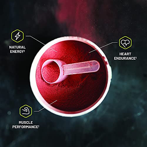 Snap Supplements Pre-Workout Beets + Nitric Oxide Booster (2 Products) Snap Supplements uk supplements