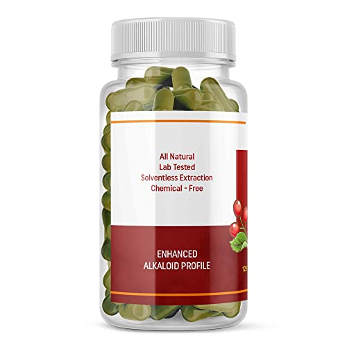 Full Spectrum Yerba Mate Capsules - Boosts Energy & Mental Focus - Supports Health Ethnospot uk supplements