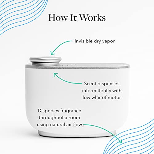 Aera Majestic Fir Home Fragrance Scent Refill - Notes of Fir and Juniper - Works with The Aera Diffuser AERA uk supplements