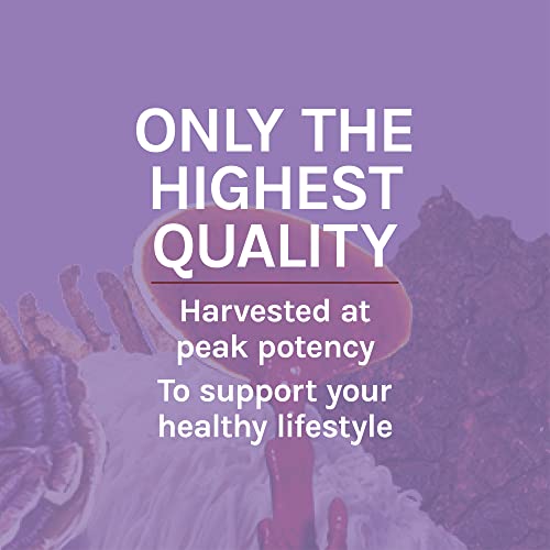 Host Defense, Lion's Mane Capsules, Promotes Mental Clarity, Focus and Memory Host Defense uk supplements