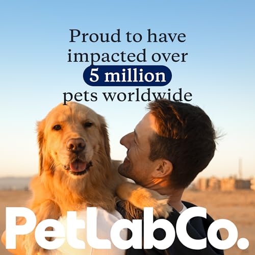 PetLab Co. Probiotics for Dogs, Support Gut Health, Occasional Diarrhea, Digestive Health & Seasonal Allergies - Salmon Flavor - Packaging May Vary - 30 Soft Chews PetLab Co. uk supplements