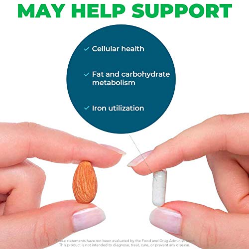 Seeking Health Molybdenum 500, Molybdenum Glycinate Chelate Supplement Seeking Health uk supplements