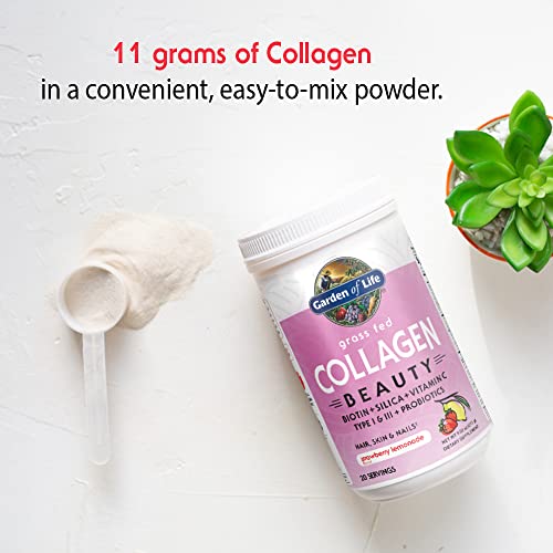 Garden of Life Grass Fed Collagen Beauty - Strawberry Lemonade, 20 Servings - Collagen Garden of Life uk supplements