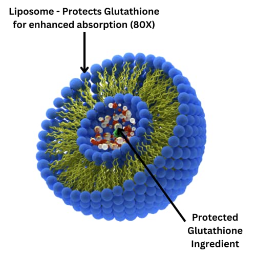 Research Labs Liposomal Glutathione Supplement w/Gluta-IV™, 100x Enhanced Absorption Research Labs uk supplements