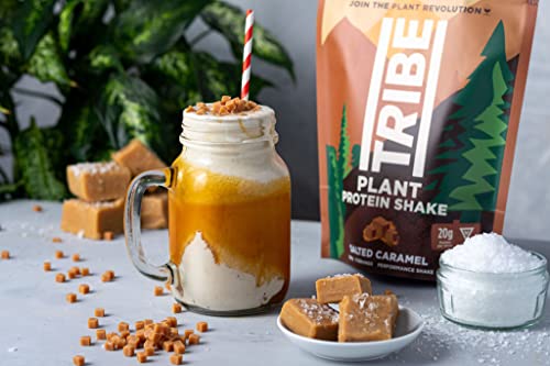 TRIBE Vegan Protein Powder - Salted Caramel - Pea and Rice Protein Blend - Vegan TRIBE uk supplements