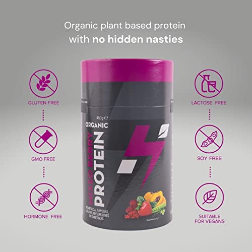 Hylife Nutrition - Organic Protein Powder - Mixed Berry Vegan Protein Powder (450g - 15 Servings) Hylife Nutrition uk supplements