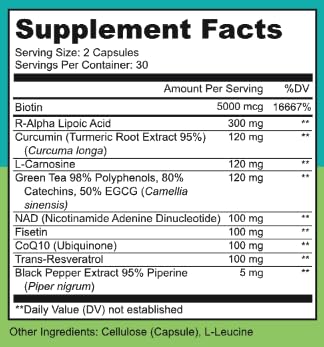 LIVELY VITAMIN CO. Perfect Ten - Anti-Aging & Antioxidant Supplement - Biotin & Lipoic Acid - Healthy Hair, Skin, Nails - Energy Boost - Sharper Brain Function - Stronger Immunity - 60 Capsules LIVELY VITAMIN CO uk supplements
