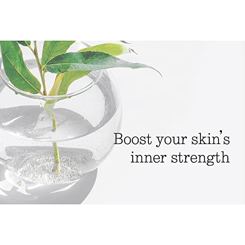 Pyunkang Yul Low pH Feminine Wash with Green Tea, Cica, Moisturizing for Women Vaginal Health Pyunkang Yul uk supplements