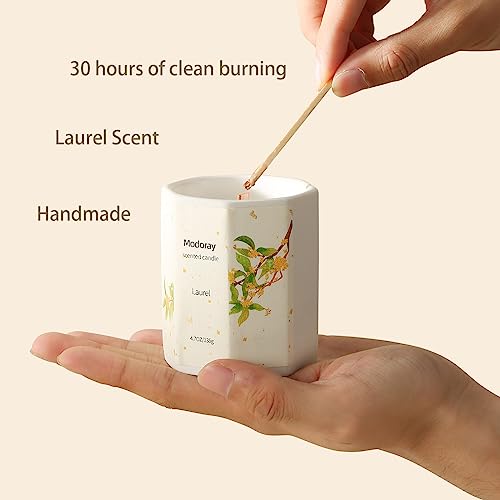 Modoray Scented Candle, Candles for Home Scented, Aromatherapy Candle，Long Lasting Natural Modoray uk supplements