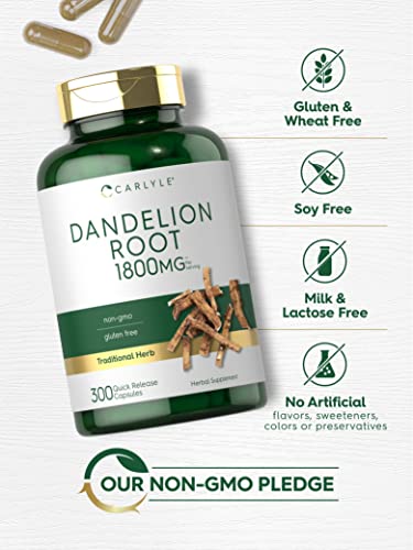 Carlyle Dandelion Root Capsules 1800mg | 300 Count | Non-GMO, Gluten Free Carlyle uk supplements