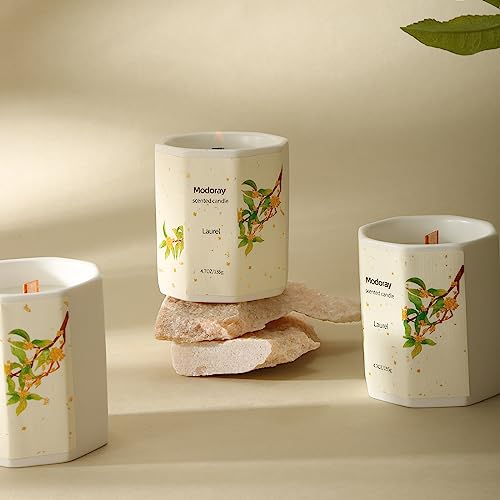 Modoray Scented Candle, Candles for Home Scented, Aromatherapy Candle，Long Lasting Natural Modoray uk supplements