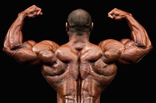 Muscle Pump pre Workout - Nitric Oxide 2400mg Muscle Pump, Extreme Strength Health Solution Prime uk supplements